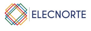 NewLogoElecnorte